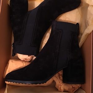 NWT TOD  box with dost bags